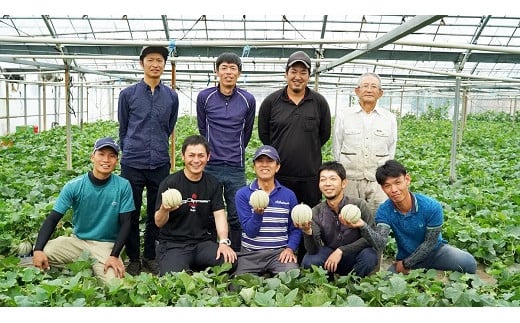 BD203【令和8年度出荷分】マルセイユメロン～島原風香～（2L×4玉） [農事組合法人　『舞岳の里』生産組合 長崎県 島原市 BD203] メロン 赤肉 果物 くだもの フルーツ 産地直送