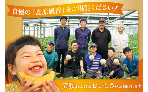 BE160【令和8年度出荷分】マルセイユメロン～島原風香～（LA×5玉） [農事組合法人　『舞岳の里』生産組合 長崎県 島原市 BE160] メロン 赤肉 果物 くだもの フルーツ 産地直送