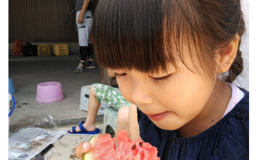 【令和8年度出荷分】BE275 黒小玉スイカ「ひとりじめBonBon」 5kg(1.7kg以上×2~3玉) ～名水百選の里 島原産～ [ Bunkou Farms 島原 合同会社 島原市 BE275 ]