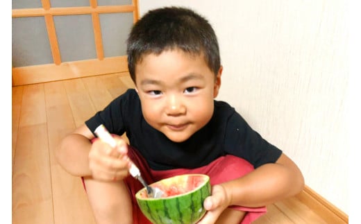 BE276 【令和8年度出荷分】小玉スイカ「うり坊」5kg（1.7kg以上×2～3玉） ～名水百選の里 島原産～