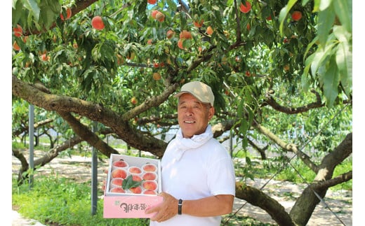 BF017【令和6年度出荷分】 ＜ 数量限定 ＞ 果汁あふれる！川田さん家の 桃 1kg