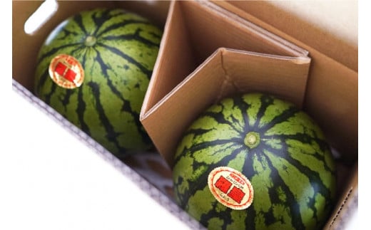 BF164【令和7年度出荷分】秋季出荷！大玉スイカ～羅皇（ラオウ）～（Lサイズ6kg以上×2玉入）[先行予約 数量限定 すいか スイカ 西瓜 フルーツ 果物 長崎 長崎県 島原市]