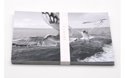 BF218 絵葉書セット「KAMOME」