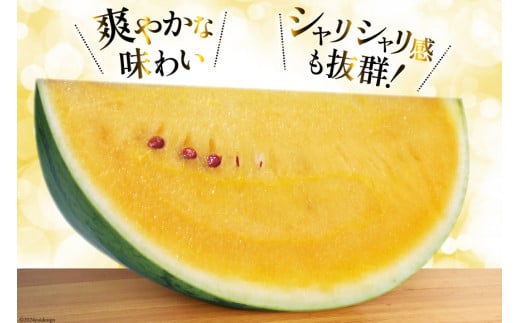 BG075【令和8年度出荷分】幻のゴールデンスイカ！～金色羅皇（ラオウ）～（7～12kg） [先行予約 数量限定 すいか スイカ 西瓜 らおう 羅王 フルーツ 果物 長崎 長崎県 島原市]