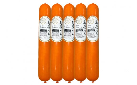 【BH021】 島原ハム　ポークソーセージ5本セット 【 ソーセージ ポークソーセージ セット 島原市 】