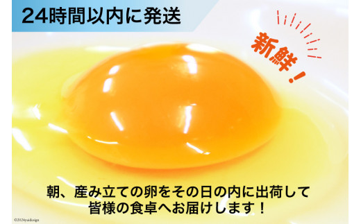 BI029 どっさり！ 雲仙たまごLサイズ 160個(150個＋割れ補償10個入り) [ 卵 たまご 生卵 鶏卵 赤卵 玉子 新鮮 塚ちゃん雲仙たまご村 長崎県 島原市 ]