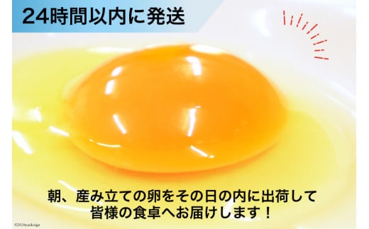 BI039 12回 定期便 たっぷり！ 雲仙たまごLサイズ 80個 (75個＋割れ補償5個入り) [ 卵 たまご 生卵 鶏卵 赤卵 玉子 新鮮 塚ちゃん雲仙たまご村 長崎県 島原市 ]