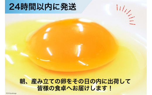 BI046 3回 定期便 どっさり！ 雲仙たまごLサイズ 160個(150個＋割れ補償10個入り) [ 卵 たまご 生卵 鶏卵 赤卵 玉子 新鮮 塚ちゃん雲仙たまご村 長崎県 島原市 ]