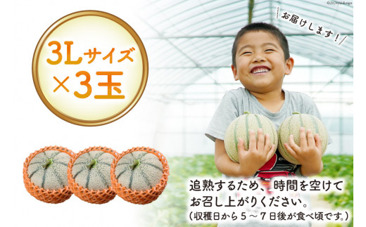 BI113 【令和8年度出荷分】 島原赤肉メロン「マルセイユ」（3L×3玉） [ メロン めろん マルセイユ 赤肉 フルーツ 果物 小原商店 長崎県 島原市 ]