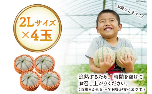 BI114 【令和8年度出荷分】 島原赤肉メロン「マルセイユ」（2L×4玉） [ メロン めろん マルセイユ 赤肉 フルーツ 果物 小原商店 長崎県 島原市 ]