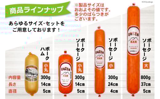 CI241 雲仙ハム ソーセージ ハム 各1本 計2本 各300g [ ボロニアソーセージ ポークハム ウインナー ウィンナー 小分け 便利 国産 豚肉 人気 おつまみ 肉 おかず 長崎県 島原市 ]