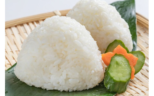 CA053 特別栽培米ながさきにこまる・押麦セット[ 白米 精米 ごはん ご飯 こめ おこめ もちもち おにぎり 粘り おいしい 長崎県産 長崎県産米 長崎にこまる 長崎県 島原市 ]