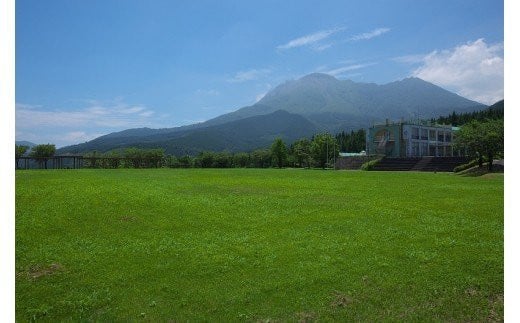 CB047 肉の美しさが旨さを物語る　舞豚しゃぶしゃぶセット