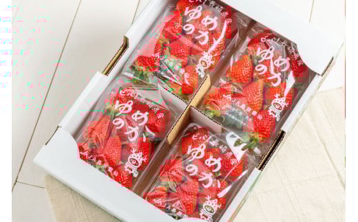 【期間限定発送】CF106 長崎県知事賞受賞【 厳選 いちご 】「 ゆめのか （2L～3L）」 260g × 4パック ＜12月までにお届け＞