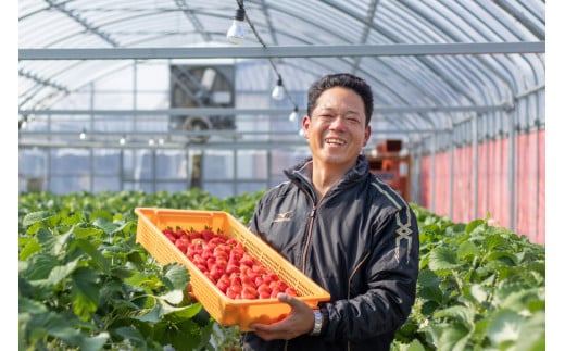 【期間限定発送】CG068 長崎県知事賞受賞【 大玉 いちご 】「 恋みのり (3L～5L)」265g×4パック ＜12月までにお届け＞