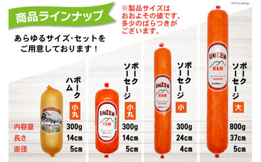 FD193 雲仙ハム ソーセージ 大 800g×2本 [ 絶品 人気 ウインナー ハム 詰め合わせ おつまみ ギフト 肉 お弁当 おかず 小分け 便利 国産 豚肉 BBQ 長崎県 島原市 ]