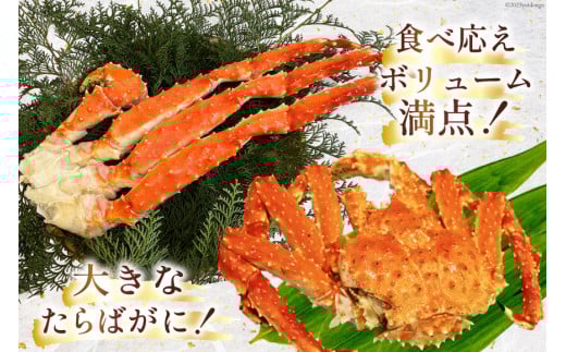 GD164 お手軽！たらばがに 800g（ハーフポーション加工済）[ ふるさと納税 長崎県 島原市 海鮮 カニ かに たらば 蟹足 ツメ 蟹肉 ハーフポーション 半むき身 ]