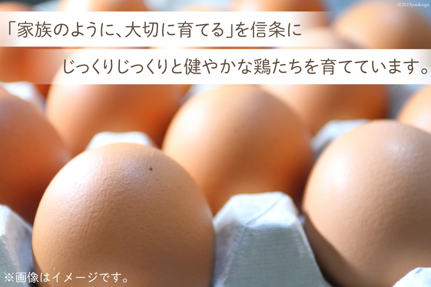 AH056 愛でたまご２種＆愛でたまごプリンセットA 【 プリン 卵 たまご 自家製 冷蔵 長崎県 島原市 】: 島原市ANAのふるさと納税