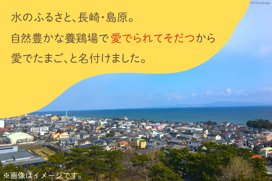 AH108 【6回定期便】紅白愛でたまごセット30個 総計180個【 卵 たまご 島原市 定期便 お祝い 】
