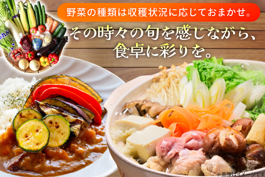 AJ313 野菜セット 5～7品目 しそジュース付き [ 野菜 詰め合わせ 少人数用 一人暮らし 二人暮らし シソジュース 紫蘇ジュース 長崎県 島原市 ]