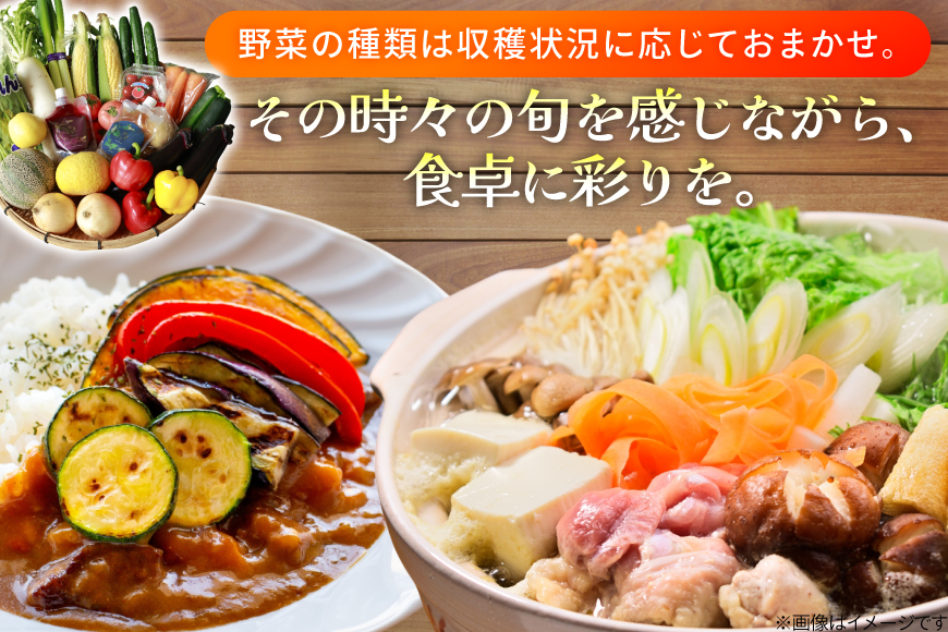 AJ315 季節の野菜・果物セット 13～15品 しそジュース付き [ 野菜 詰合せ 長崎県 島原市 ]