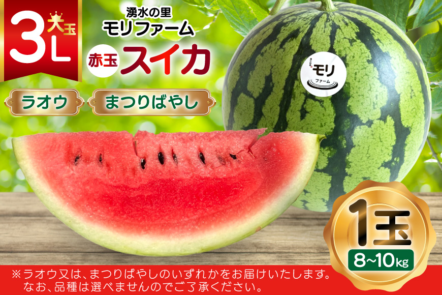 AJ455 【令和8年度出荷分】 湧水の里 モリファーム 赤玉 スイカ ラオウ まつりばやし 3L 8～10kg 1玉 [ 先行予約 数量限定 すいか スイカ 西瓜 フルーツ 果物 長崎 長崎県 島原市 ]