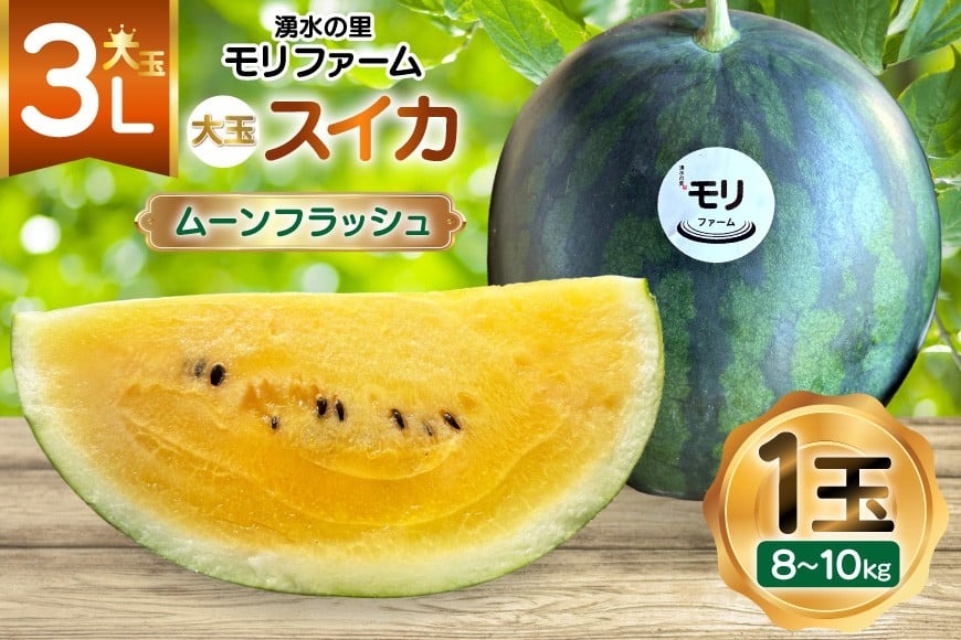 AJ458 【令和8年度出荷分】 湧水の里 モリファーム 大玉スイカ ムーンフラッシュ 3L 8～10kg 1玉 [ 先行予約 数量限定 すいか スイカ 西瓜 フルーツ 果物 長崎 長崎県 島原市 ]