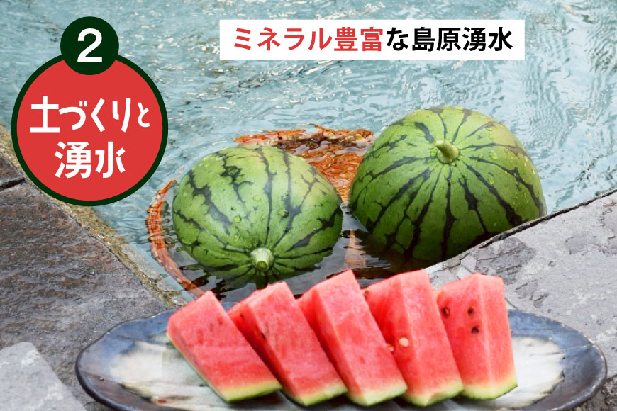 AJ462 【令和8年度出荷分】 Farm honda 小玉スイカ 3～5玉 約10kg [ 先行予約 数量限定 小玉 スイカ 西瓜 フルーツ 果物 長崎 長崎県 島原市 ]