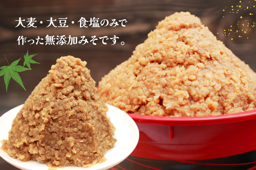 AJ473 島原みそ 無添加(麦) 800g 2袋 [ みそ 味噌 ミソ 麦味噌 麦みそ 調味料お味噌 無添加 ナチュラル おいしい 島原みそ株式会社 長崎県 島原市]