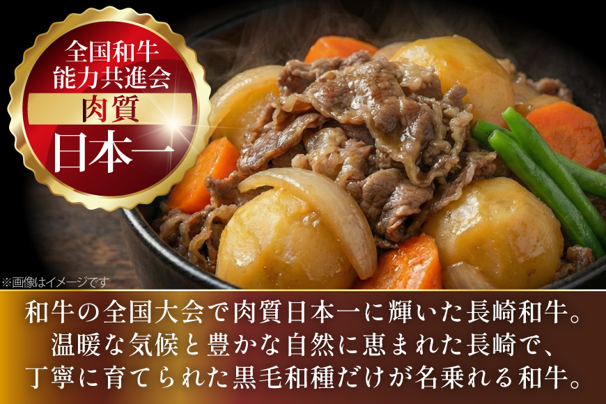 AJ509 長崎和牛 切り落とし (もも・バラ) 約500g [ 肉 牛肉 和牛 バラ モモ おいしい こま切れ カレー 肉じゃが まるしん商会 黒牛 長崎県 島原市 ]