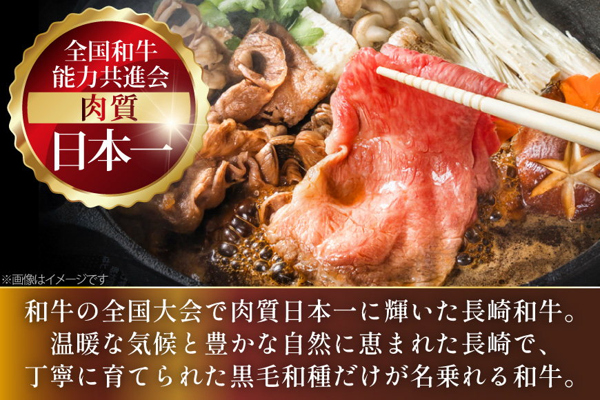AJ557 【6回定期便】長崎和牛 もも スライス 約1kg (500g×2P) [ 肉 牛肉 和牛 高級 おいしい ステーキ肉 まるしん商会 黒牛 長崎県 島原市 ]