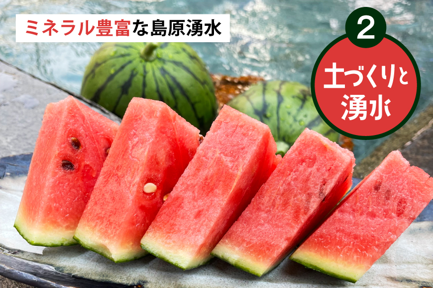 AJ698 【令和8年出荷分】 Farm honda 大玉スイカ 1玉 8kg以上 [ スイカ すいか 西瓜 大玉すいか 肥後浪漫 羅皇ザ・スイート 羅王 ラオウ らおう あまい 本多光則農園 長崎県 島原市]