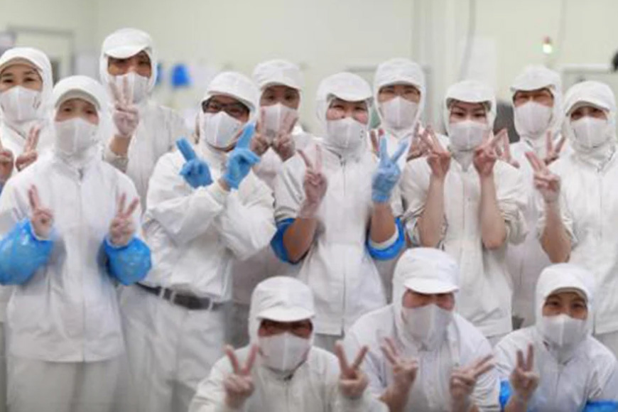 BJ007 岩崎本舗 【3回定期便】長崎角煮まんじゅう 8個入 (袋)  [長崎県 島原市]