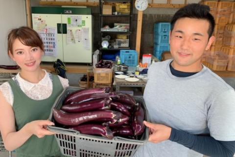 BF003【令和8年度出荷分】皮までおいしい！島原 大長ナス 3kg [ なす ナス 茄子 なすび 野菜 長ナス 天ぷら 焼き茄子 味噌汁 産地直送 長崎県 島原市 ]