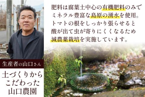 AF014 全国にファンがいる高級フルーツトマト アイコ たっぷり！1kg [トマト フルーツトマト 1キロ 山口農園 長崎県 島原市]