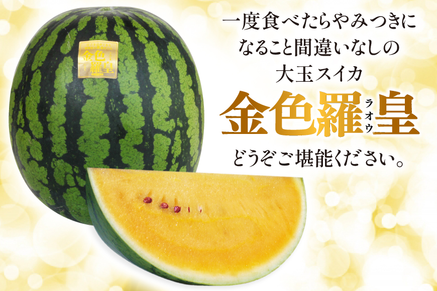 BG075【令和8年度出荷分】幻のゴールデンスイカ！～金色羅皇（ラオウ）～（7～12kg） [先行予約 数量限定 すいか スイカ 西瓜 らおう 羅王 フルーツ 果物 長崎 長崎県 島原市]