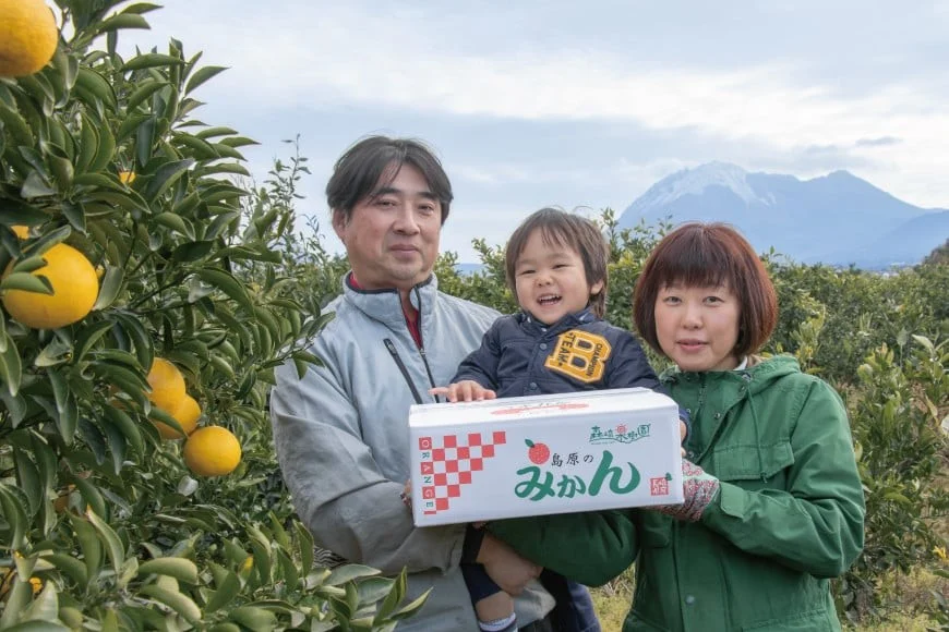 CA040 雲仙普賢岳の風が育む みかんセット 12kg [みかん ミカン 旬 12キロ 長崎県 島原市]