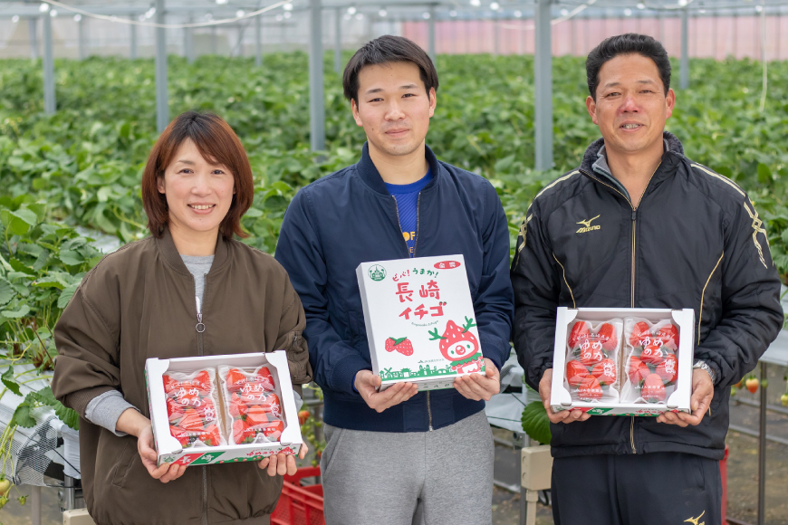 ※廃番※CE178 長崎県知事賞受賞【厳選いちご】「ゆめのか（2L～3L）」260g×4パック＜1～4月にお届け＞