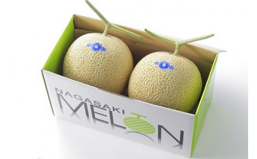 【期間限定発送】AA048 その道一筋の生産者がじっくり丁寧に育てた マスクメロン 2玉入