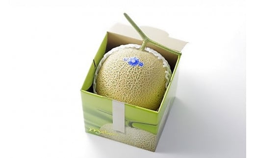 【期間限定発送】AB010 その道一筋の生産者がじっくり丁寧に育てた マスクメロン 1玉入