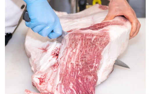 AD173Ａ５ランク！島原和牛１００％ステーキハンバーグ（２枚入） ～自宅で高級レストランの味が楽しめます～