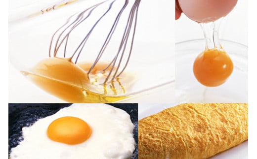 AE136 島原のたまご 黄味子Ａセット