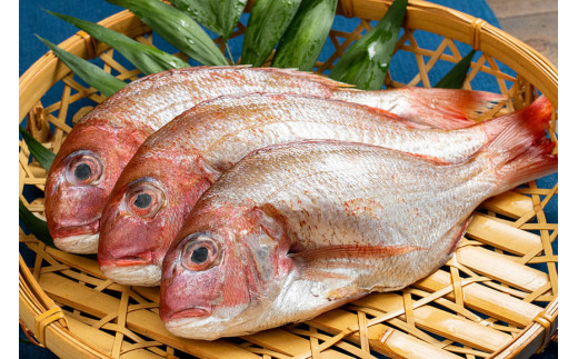 AE194 お手軽海鮮鍋セット（5～6人前）［海鮮 詰め合わせ 鍋 魚介 魚］