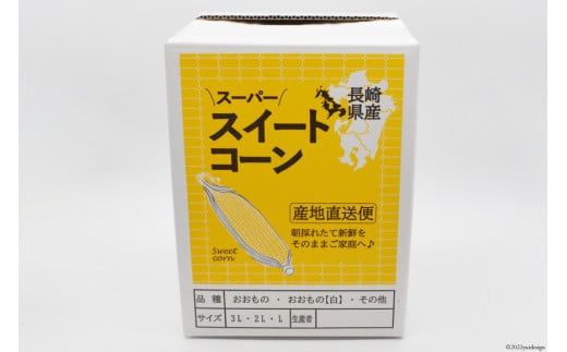 AE218 とうもろこし おおもの スーパースイートコーン 約8kg 【3Lサイズ以上！】
