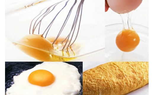 AE289【定期便】島原のたまご 黄味子Ａセット 計3回お届け