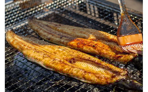 AF116【国産・数量限定】職人の本格炭火手焼きうなぎ4尾約600g【随時発送】