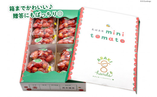 AH067【小分けでうれしい♪】アイコトマト2.4kg（200g×12袋）