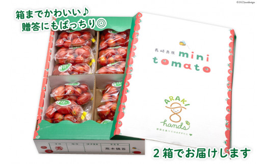 AH068【小分けでうれしい♪】アイコトマト4.8kg（200g×24袋）