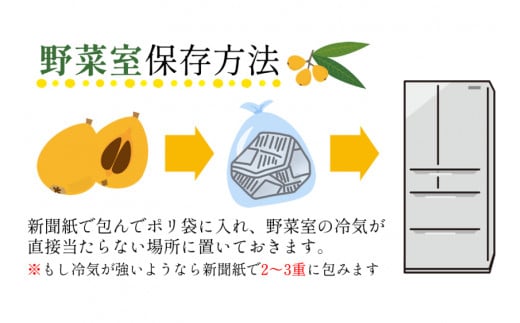 AH093 【期間限定発送】長崎県産 ハウスびわ 約500g 化粧箱入り [ フルーツ 果物 くだもの びわ ビワ 枇杷 数量限定 季節限定 初夏 冷蔵 長崎県 島原市 ]