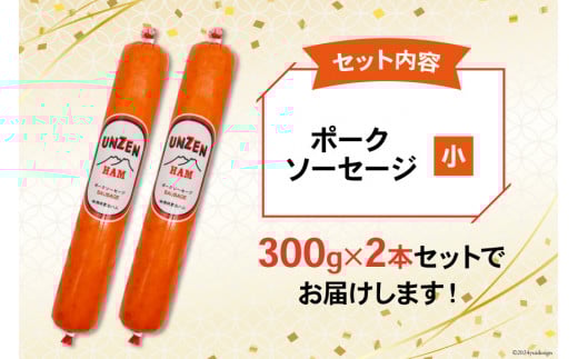 BI002 雲仙ハム ソーセージ 小 300g×2本[ 絶品 人気 ハム ウインナー ソーセージ おつまみ 肉 お弁当 おかず 小分け 便利 国産 豚肉 お歳暮 お中元 長崎県 島原市 送料無料 ]